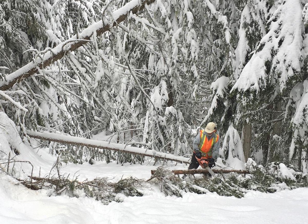 Thanks everyone for joining us for the Teck BC Cup 1!  Volunteers are back at it clearing trees from trails after the snow and wind last week. @NordiqCanada @SalmonArmBC @SalmonArm Take care on our trails, check the trail report! @shuswaptourism