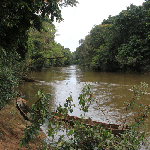 Simon Creer (@sicreerprof) on Twitter photo 10 days left: Fully-funded PhD opportunity #metabarcoding #geospatial #modelling #freshwater biodiversity #Borneo UK and EU applicants. For more info about <a href="/envision/">envision! Video</a> application visit envision-dtp.org/2019/drivers-o⦠@metabarcoding @BES_AquaEco <a href="/freshwaterbio/">Freshwater Biological Association (FBA)</a> <a href="/LndnFreshwater/">LndnFreshwaterGroup</a> @UoNMalaysi 10 days left: Fully-funded PhD opportunity #metabarcoding #geospatial #modelling #freshwater biodiversity #Borneo UK and EU applicants. For more info about <a href="/envision/">envision! Video</a> application visit envision-dtp.org/2019/drivers-o⦠@metabarcoding @BES_AquaEco <a href="/freshwaterbio/">Freshwater Biological Association (FBA)</a> <a href="/LndnFreshwater/">LndnFreshwaterGroup</a> @UoNMalaysi