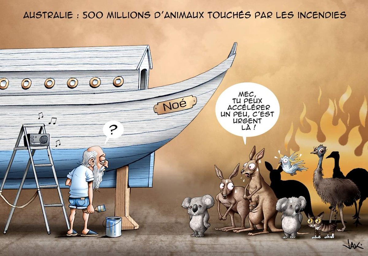 ornikkar's tweet photo. Australie : 500 millions d'animaux victimes des incendies. (Par Jak) https://t.co/RW8RqH9RlH