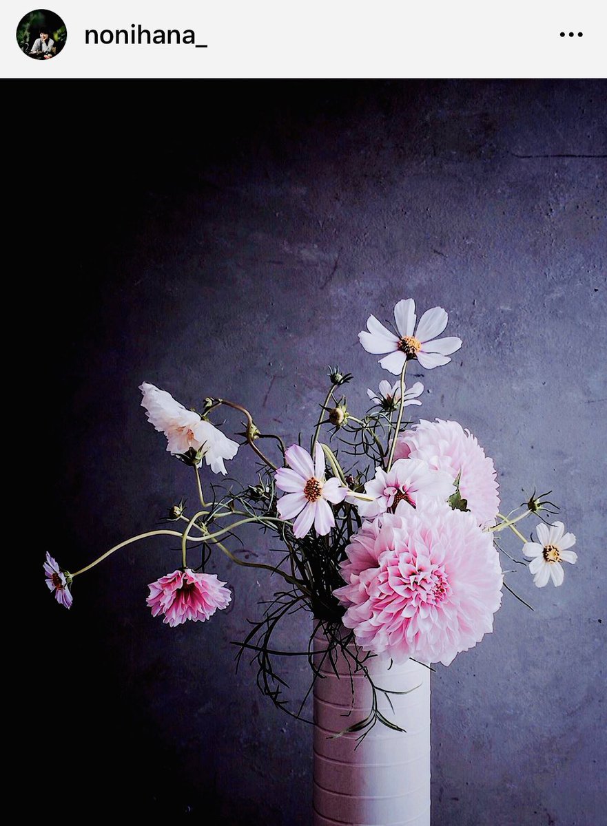 이 분 인스타그램 보면, 사진이 아니라 동양화 정물화 그림을 보는 것 같다. 온라인에 담고 사는 나의 힐링 스팟.