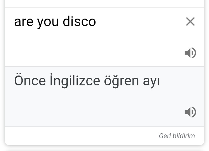 Serin geeel asıl sensin ayı ulan bu ne biçim çeviri fdkdjdjhdkdkx