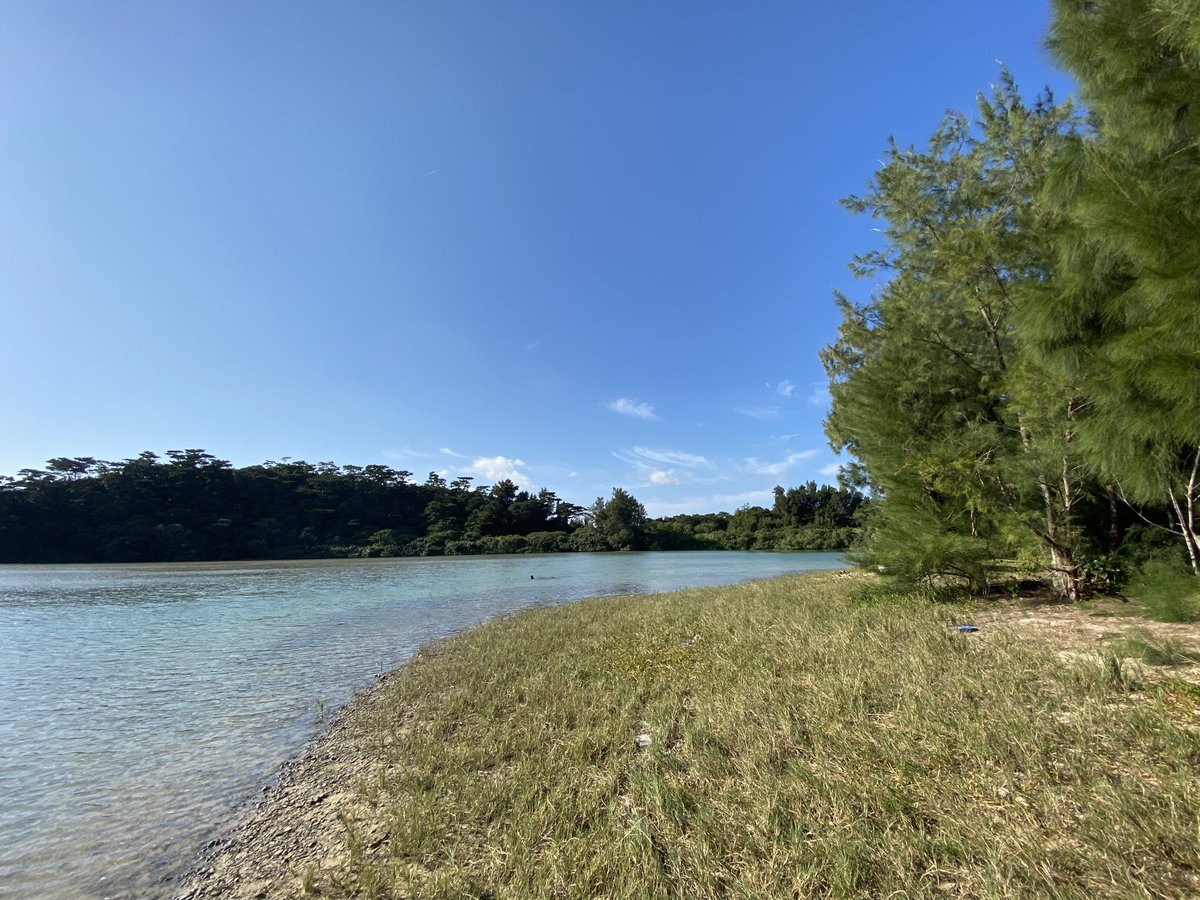 水を綺麗にする