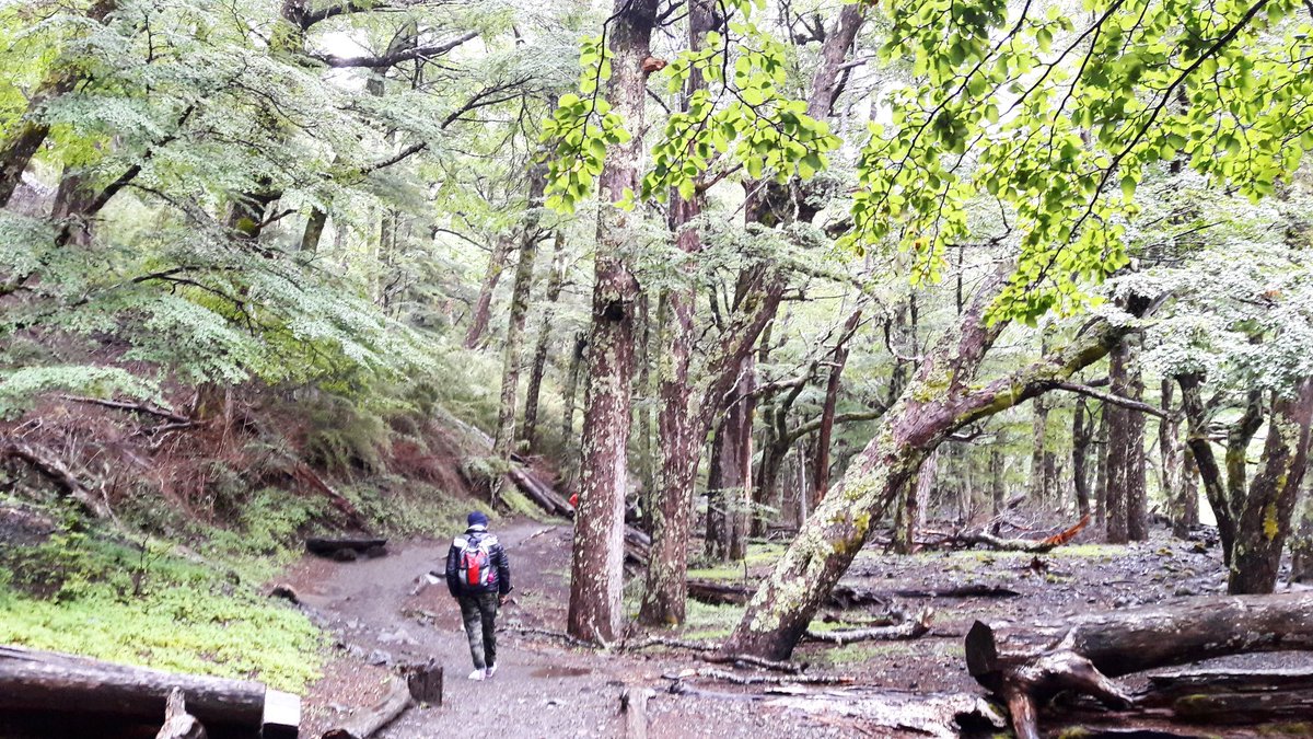 MeCan11242614's tweet photo. Sendero a la Garganta del Diablo en Cerro Tronador. Bariloche 🗺❄
#sendero #cerro #bariloche #argentinapaisajes #argentinapatagónica #friopatagonico 🌬❄🏞 https://t.co/wu8ue0ZxF6