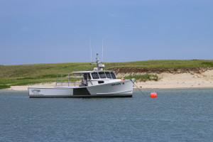 BestLifeRates's tweet photo. #FACT: Commercial fisherman have a very dangerous job. Some of the highest in any job category.

This can mean higher insurance rates, unfortunately.

But not always. Here are some tips to save:
https://t.co/JBPxvtLJLG https://t.co/nufsbRaUcS