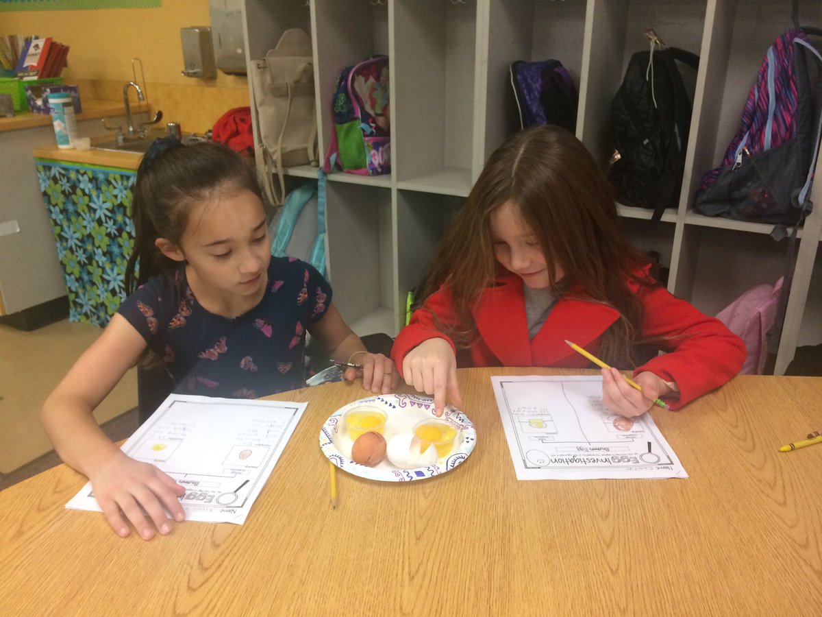 MrsPerkinsTeach's tweet photo. 3 in 1, Science, Social Studies, &amp; Writing! Students observed and recorded the properties of a brown and white egg. Just like these eggs, we learned we may be different on the outside, but we are all the same on the inside. #inspiringchaps #AubreyProud https://t.co/1Z6yTTujoB