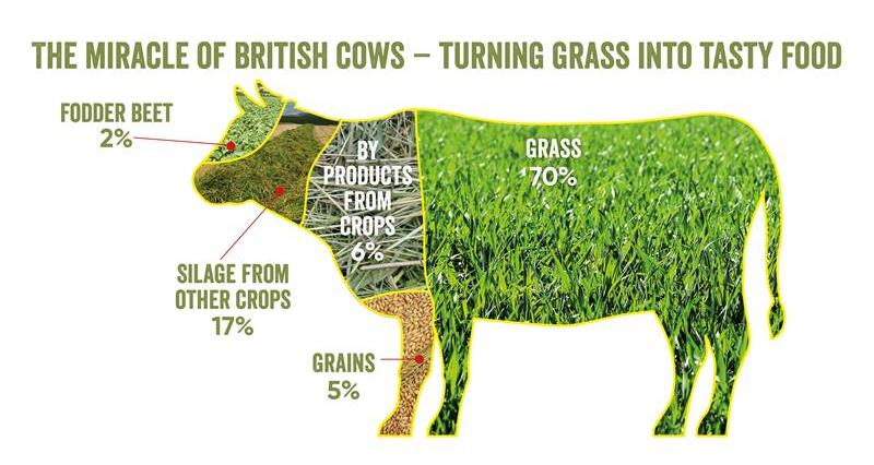 NFUCymru's tweet photo. Welsh and British beef production is some of the most sustainable in the world. Cows and sheep turn grass we can’t eat into high quality, delicious beef and lamb. Check out the facts about British meat: https://t.co/bE9mxc8QTf https://t.co/HBPpYLLtpm