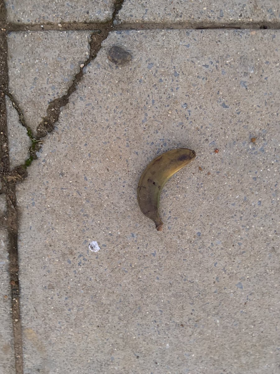pickelodeon's tweet photo. The #eotr interpretation. I call this one Old Banana on Sidewalk. #ward7 https://t.co/nesQDZZeY8