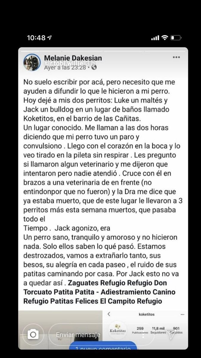 HuilenSchewalie's tweet photo. Difundan por favor!! Una mujer llevó a su perrito a bañarse a @Koketitos  y se lo devolvieron muerto. Hubieron 3 casos más. Difundan para que no pase de nuevo por favor!!!
@majogm @MalenaStein @flandivar @nachomdeo @edufeiok @ https://t.co/upopkTpZCk
