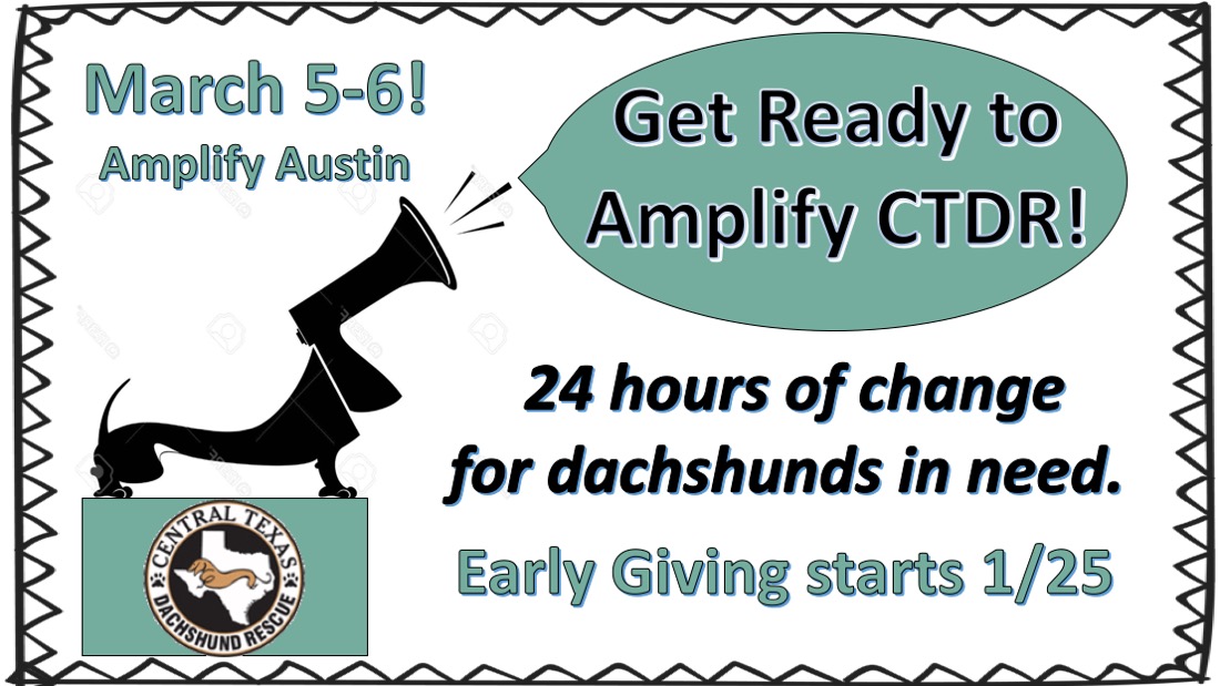 CTDR's tweet image. It's almost that time again &amp;amp; by that we mean AMPLIFY time! Amplify Austin starts 5/5.  It's 24 hours of giving that CTDR is proud to participate in again. Donations allow us to help dachshunds in need throughout Central Texas. #ctdr #AmplifyCTDR #24Hours #Give #AmplifyAustin