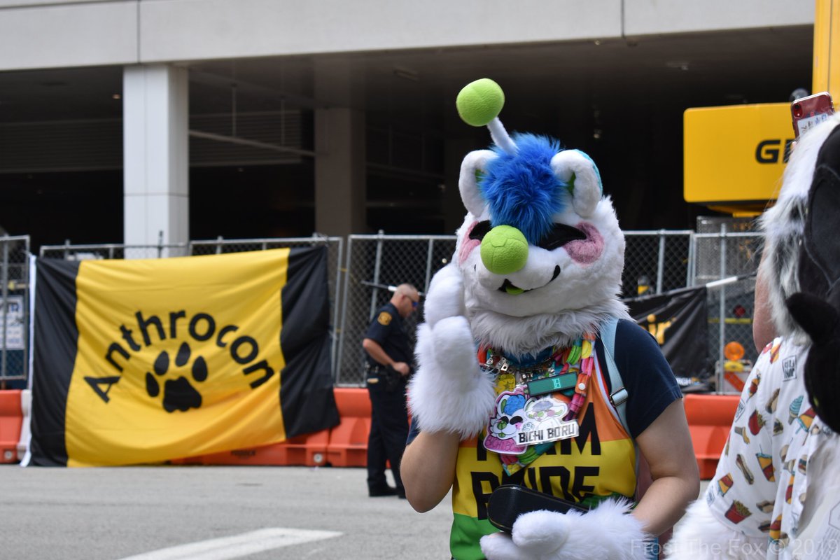 AxisMutt's tweet photo. Here's A Picture Of Bichi In Anthrocon 2019's Fursuit Parade 

#furry #fursona #FursuitFriday #anthrocon #Anthrocon2019 #ac2019 https://t.co/Cq0YpvLIw6