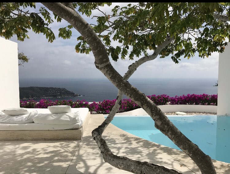 Lorena Alarcon (@clae) on Twitter photo 