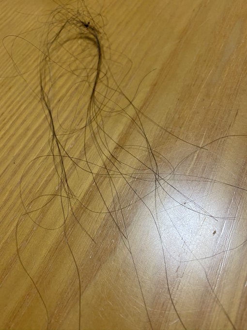 山口敏太郎さん の人気ツイート 2 Whotwi グラフィカルtwitter分析