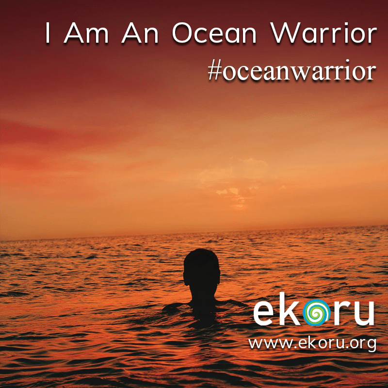 ekoru_search's tweet photo. Are you an #OceanWarrior? An ocean warrior:
- Loves the ocean
- Wants to protect it
- Will do something to save it
- Uses https://t.co/iiOFF8wJG3 as their default search engine
#SaveOurOceans https://t.co/iRIeMyCABW