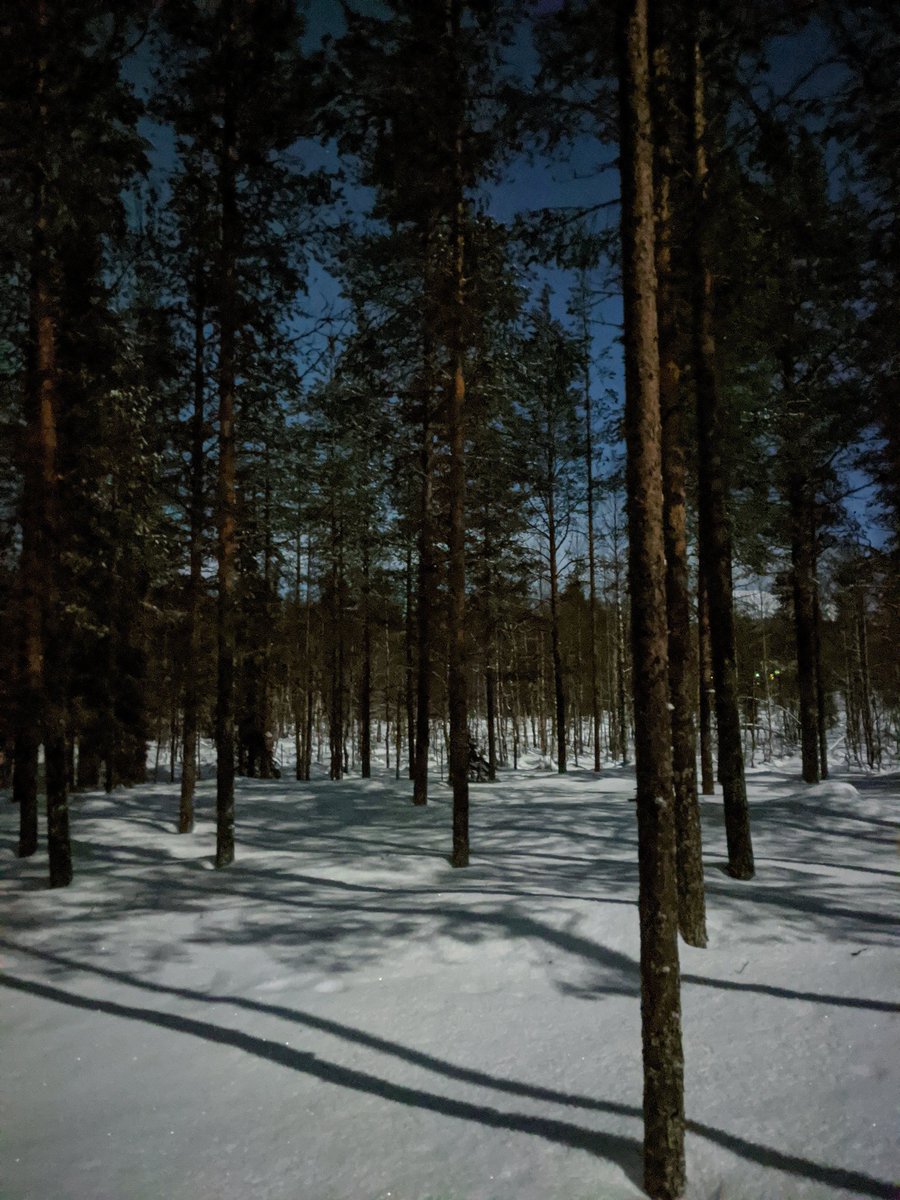 Jennie1Rennie's tweet photo. It's amazing how bright the moonlight can be. Soon the sun will be back to brighten up our days again #moonlight #moonlitforest #moonshadows #lapland #arcticlight @visityllas @OurLapland @EscapeToLapland https://t.co/YegRp0bOO6
