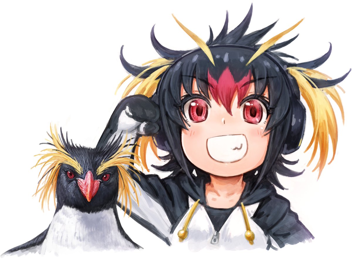 Twoucan ペンギンズ の注目ツイート イラスト マンガ コスプレ モデル