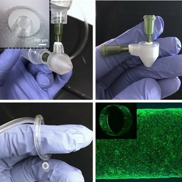 3dheals's tweet photo. 3D printing coaxial nozzles enabling rapid fabrication of biofunctional hydrogel conduits @3dheals @NelsonLabs #bioprinting #BioprintingHeart #BioprintingHydrogel #HUVECs #TubularConstructs #healthcare #JoinTheTribe https://t.co/UsMxHCCRTe https://t.co/hKBPvXygYJ https://t.co/WRyuA5kh5Q