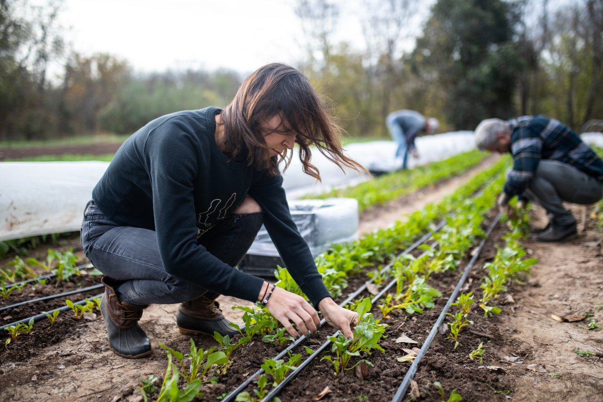 The winner of this year's Gina Burchenal grant was Urban American Farmer. Urban American Farmer will use this grant to facilitate the growing, processing, and distribution of beets and for the branding and marketing of the pop-up series.⁣