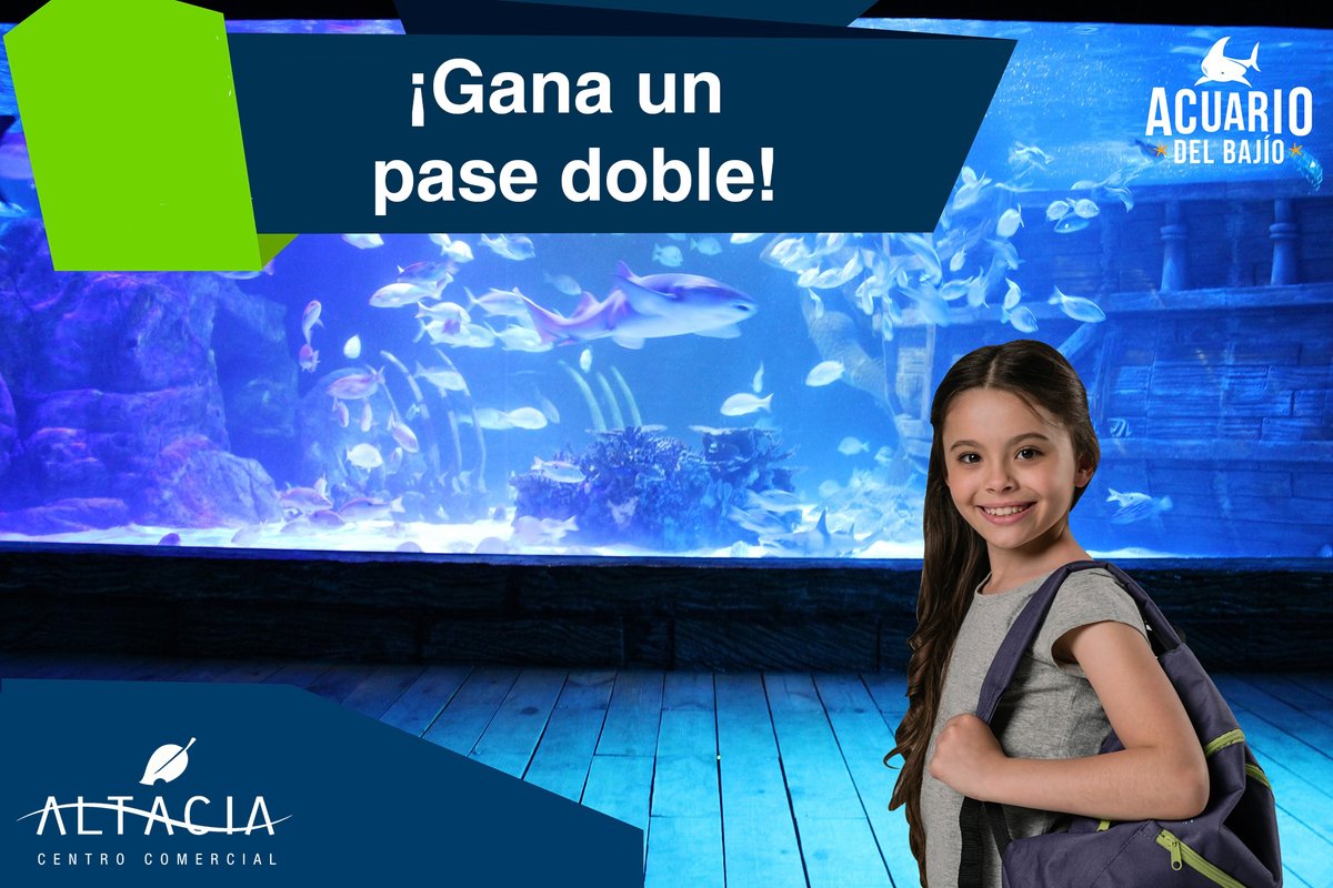 Altaciamx's tweet image. ¡Te llevamos al @AcuarioDeIBajio!.
Tenemos un pase doble en una sencilla dinamica, sólo:
Dale RT 🔁
Dinos cual es tu especie preferida de nuestro acuario
Dale @ a la cuenta oficial del Acuario
Usa el "#SoloEnAltacia" 

Restricciones ⬇️