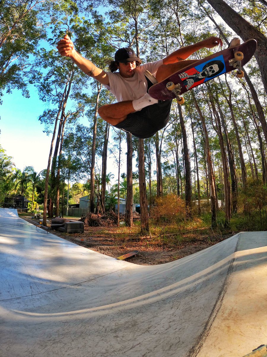 Golden hour in a forrest that’s not on fire but has been under threat . Please go donate to any of the reputable charity’s out there and make a difference.
wires.org.au
redcross.org.au
linktr.ee/nswrfs 
We make the change.