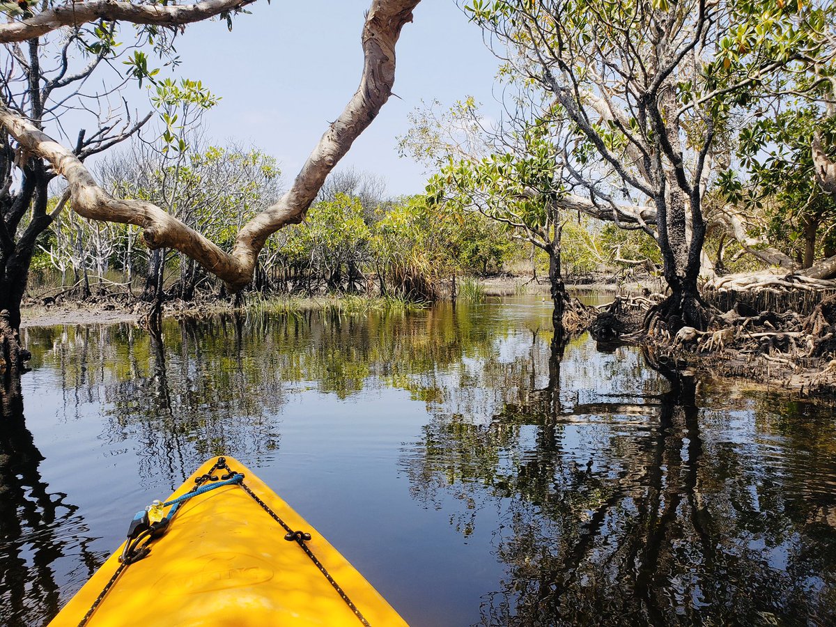 Tasmanventure's tweet photo. Here are some of the views we’ll be putting up with on this fine Thursday... 😉☀️💦

Weekend is almost here, what are your plans?

#visitfrasercoast #thisisqueensland #seeaustralia #tasmanventure https://t.co/gIAEeEGxEp