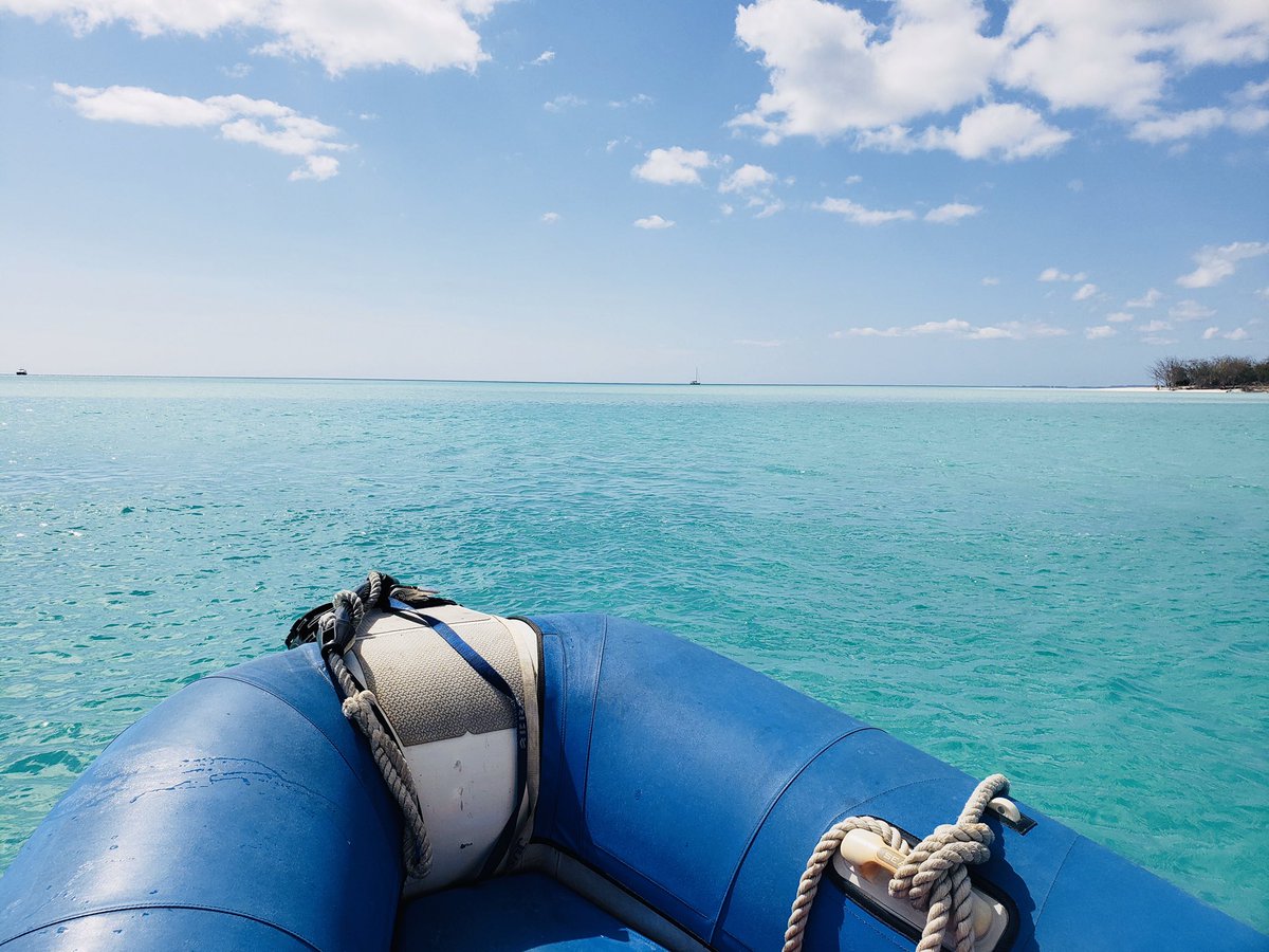 Tasmanventure's tweet photo. Here are some of the views we’ll be putting up with on this fine Thursday... 😉☀️💦

Weekend is almost here, what are your plans?

#visitfrasercoast #thisisqueensland #seeaustralia #tasmanventure https://t.co/gIAEeEGxEp