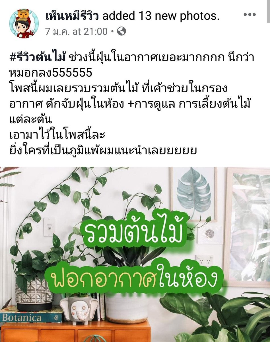 ◡̈ aυgυѕт💚(F4F) tweet media