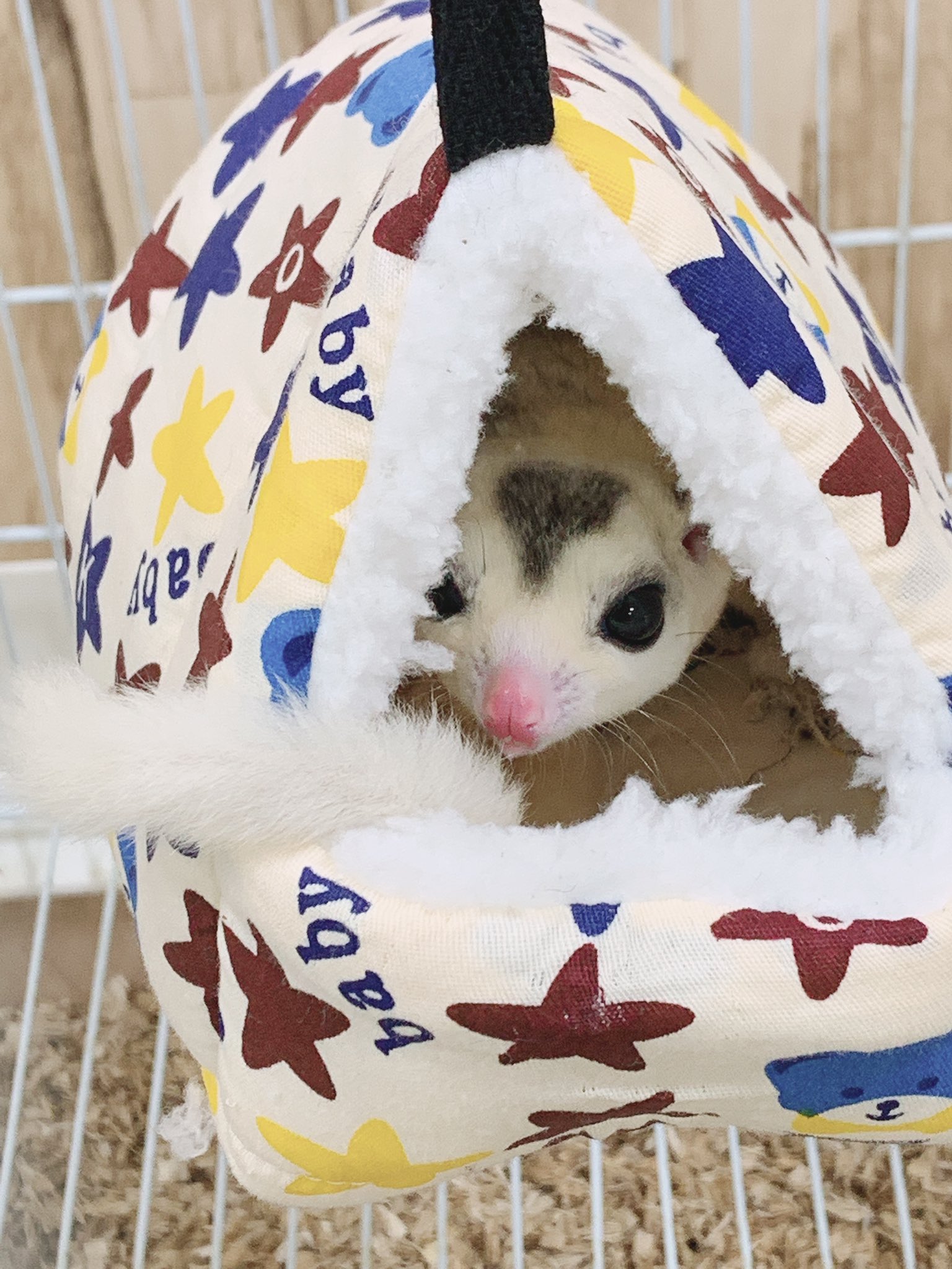 モモンガハウス(よつ葉のクローバーと黒猫) ボアベージュ 1800円