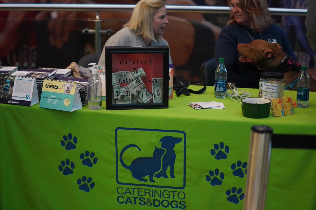 hornets's tweet photo. Visit @c2cndfelines in our main concourse to receive a free @PetSmart calendar and pet some beautiful puppies ���

#AllFly https://t.co/gk2k2MIKnT