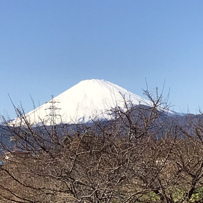 「枯れ木 青空」のTwitter画像/イラスト(古い順)