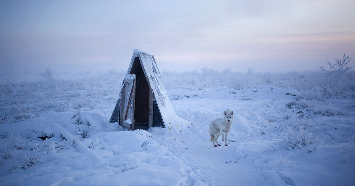 Oymyakon, a rural village in Siberia, is so cold that urine freezes almost as soon as it hits the ground, according to Amos Chapple, a New Zealand-born, Prague-based photojournalist who regularly visits the region. smithjournal.com.au/blogs/photogra…