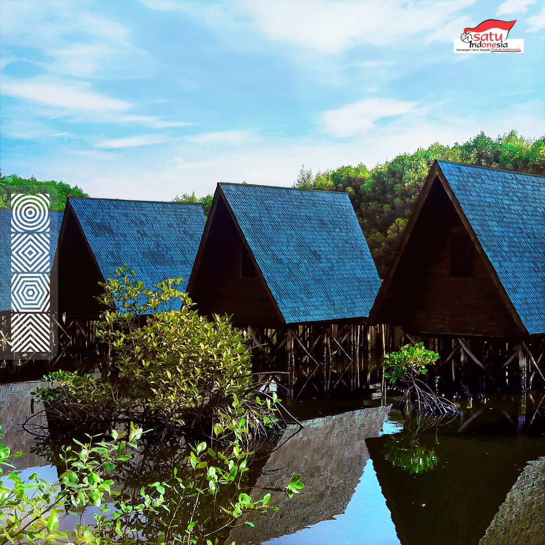 SATU_Indonesia's tweet photo. Tahukah kalian hutan mangrove di Pantai Indah Kapuk Jakarta? Tapi, apa itu hutan mangrove? Yaitu hutan yang tumbuh di atas rawa-rawa berair payau. Fungsinya mencegah intrusi air laut &amp; abrasi pantai, serta menyerap karbondioksida.
Ada lagi yang tahu manfaatnya?
#KitaSATUIndonesia https://t.co/H8OHHHqQ7D