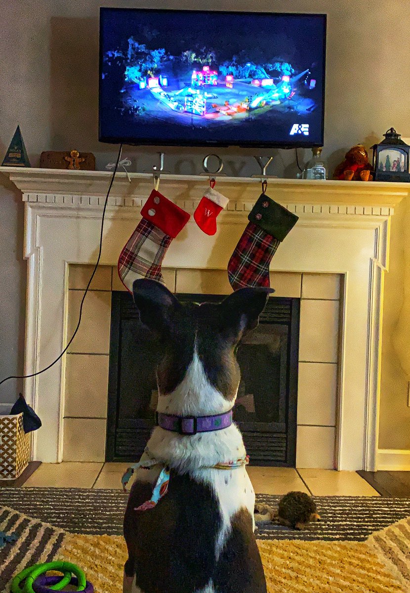 Julie Conlin (@jewelz3920) on Twitter photo Willow has been watching #TopDog for the entire first 25 minutes. She is captivated. <a href="/OfficialLivePD/">Live PD on A&E</a> Willow has been watching #TopDog for the entire first 25 minutes. She is captivated. <a href="/OfficialLivePD/">Live PD on A&E</a>