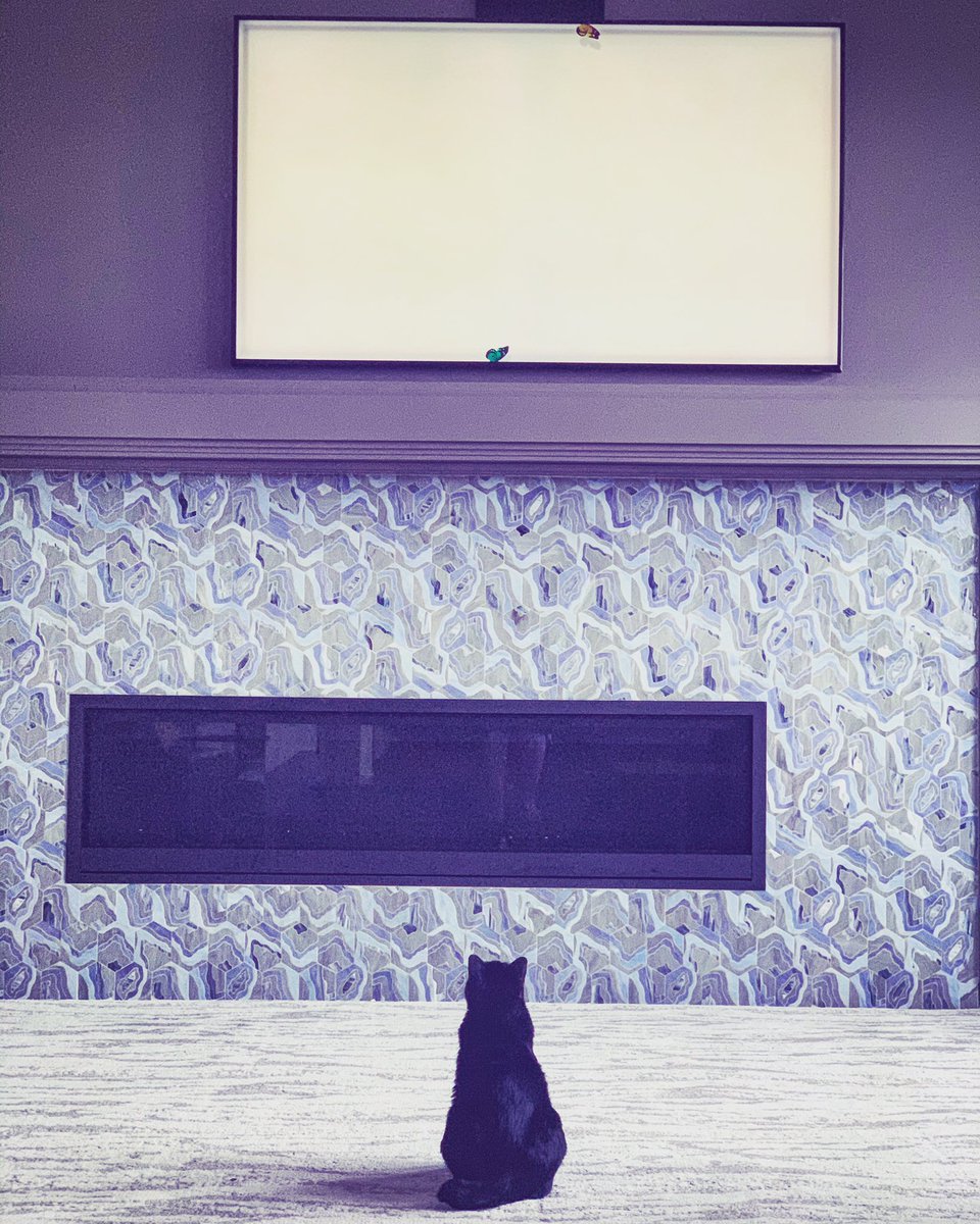 TheRealMeow4's tweet photo. Watching butterflies 🦋 https://t.co/rzZKBlGXh5