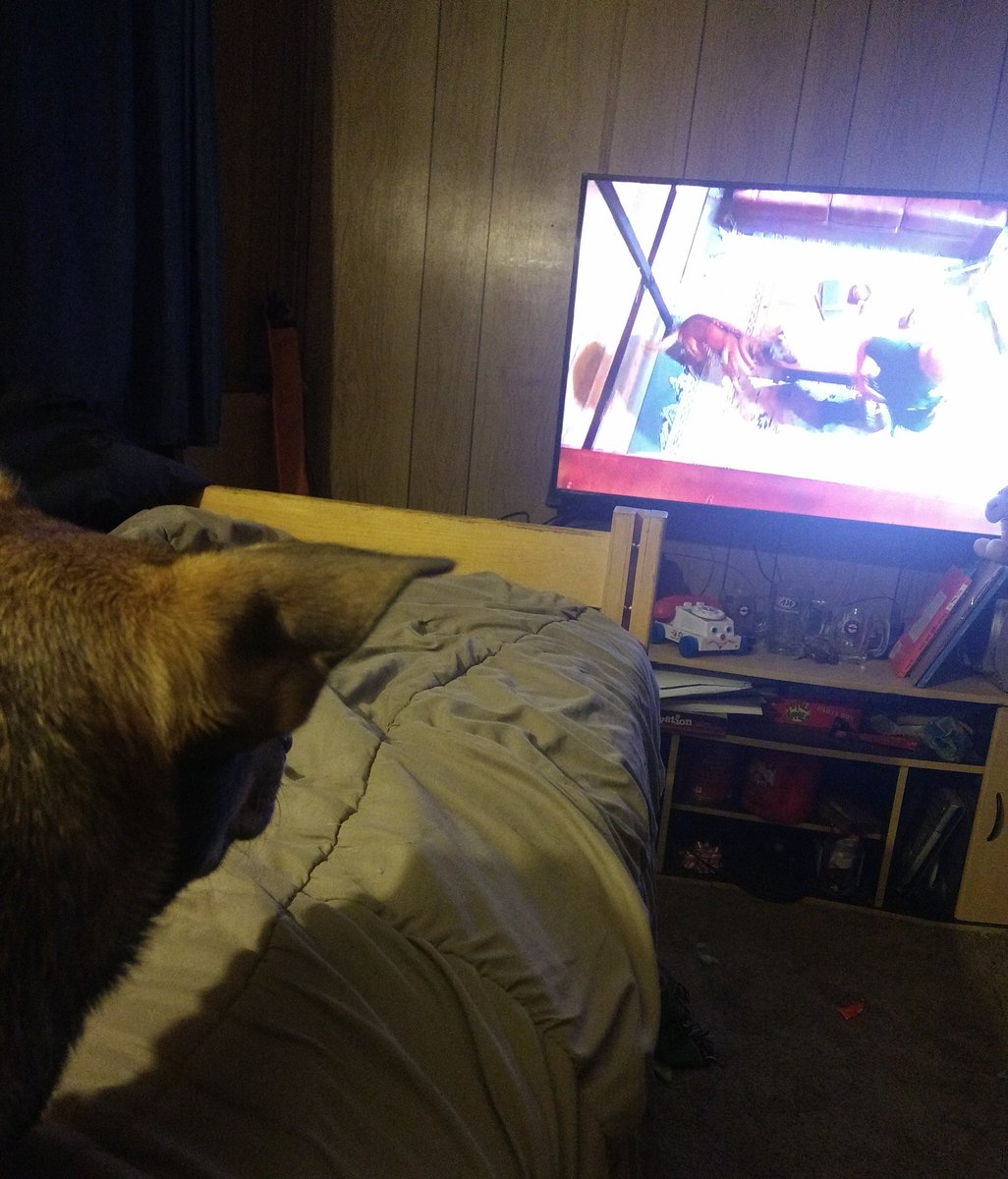 mamapunkanstuff's tweet photo. @OfficialLivePD , all this time I thought Dax was Poppies favorite but the only one she paid attention to was Falco 🤷#teamfalco https://t.co/Qqg8OQ54rc