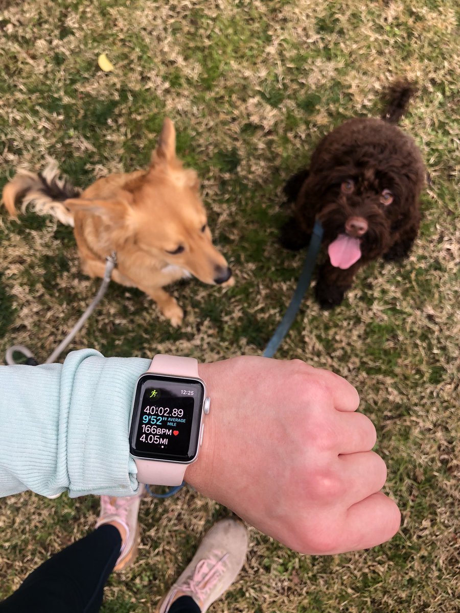 madisoncwade's tweet image. I’m training for my first half-marathon and my running buddies were troopers today! They kick it up a notch when they see squirrels 🐿 #runchat #ABC10 #resolutions2020 @ABC10