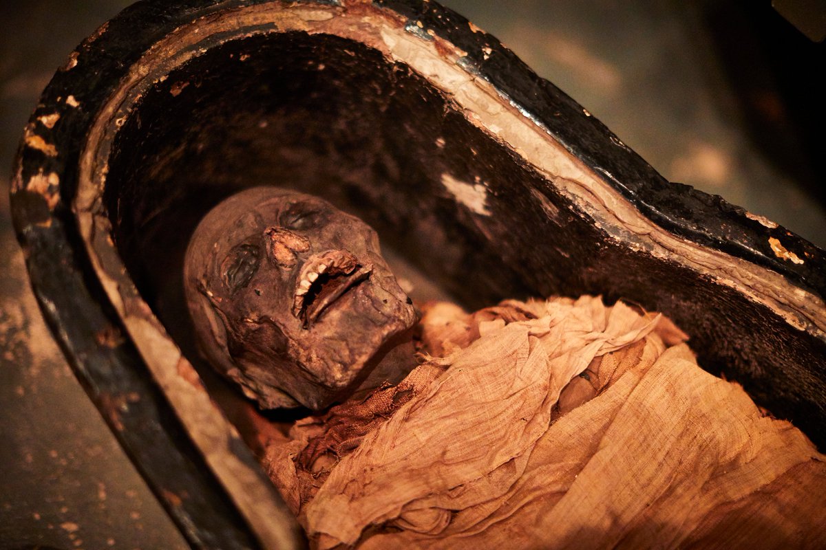 The head of the Leeds mummy, Nesyamun, in his coffin