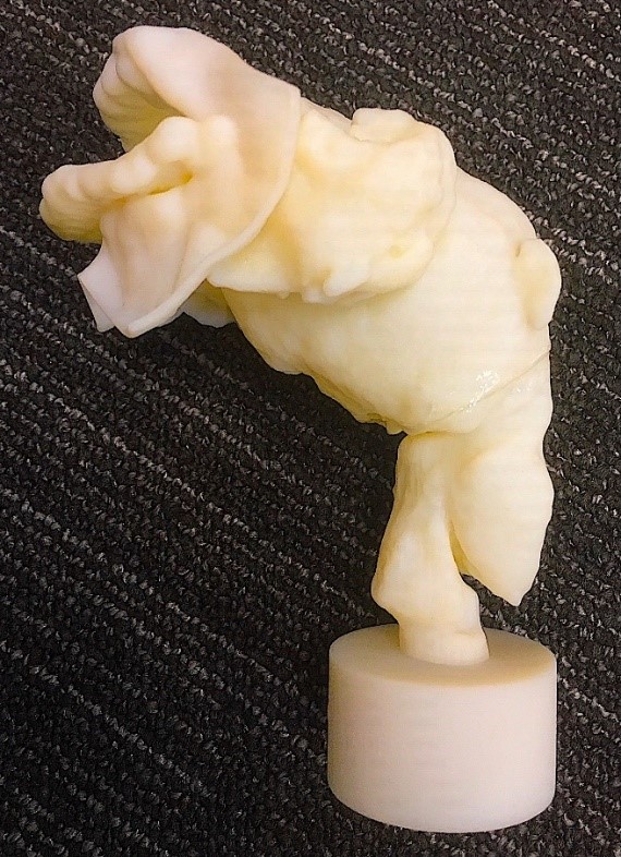 The 3D printed larynx of Nesyamun