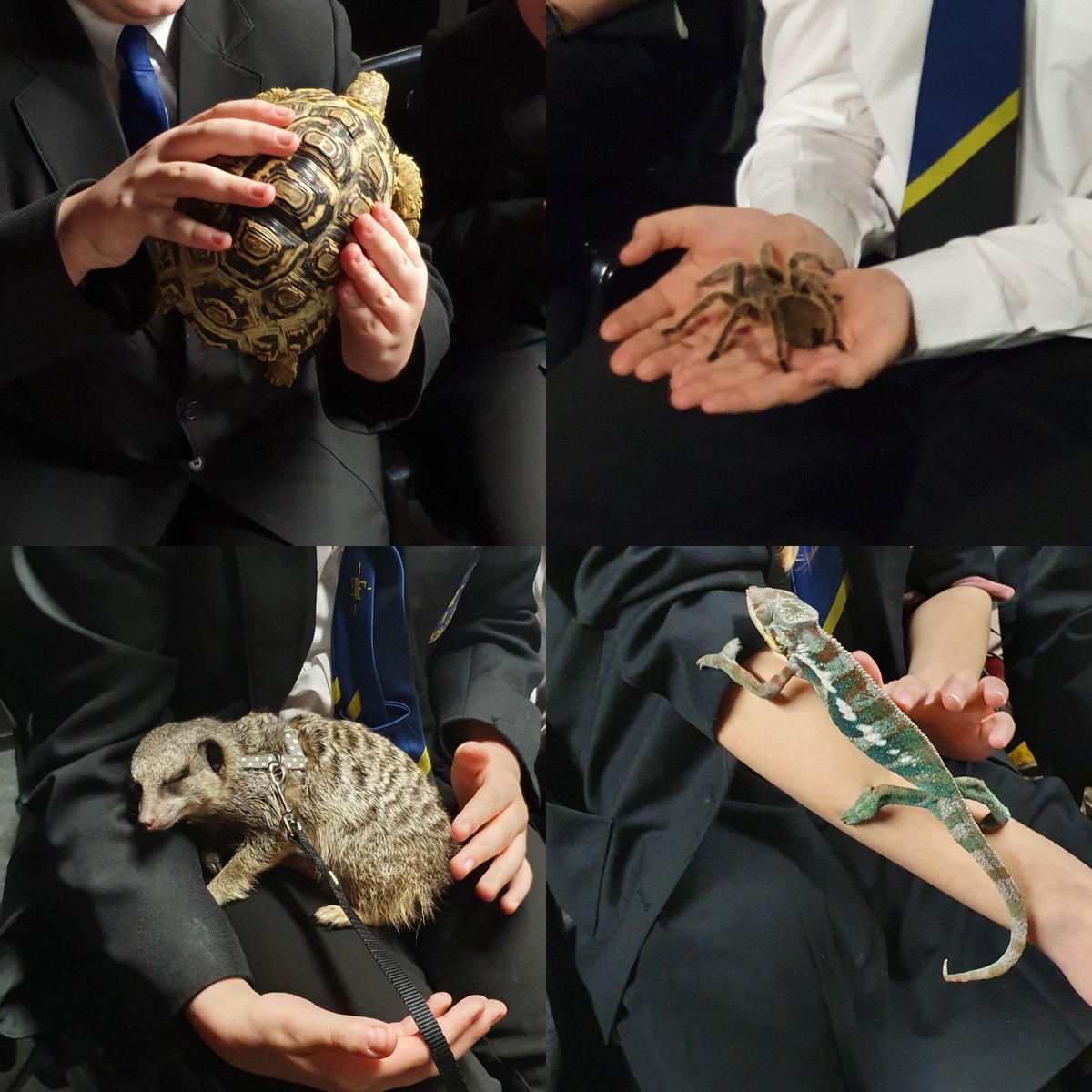 Holy Family Geography Department tweet media