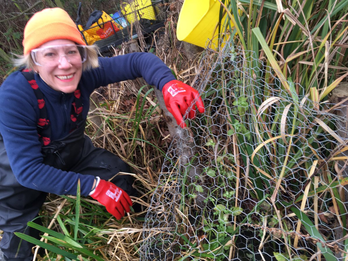 StonebridgeLock's tweet photo. Spring is springing!!!! So we’re cracking on with maintenance tasks, today we started taking the fence off our #LeeNavigation /#WildMarshWest #BiodiversityBank berm that we installed to rebuild the collapsed bank. Ain’t it lush! #LoveTheLea #WeWantWildlife https://t.co/WZgStXgEgb