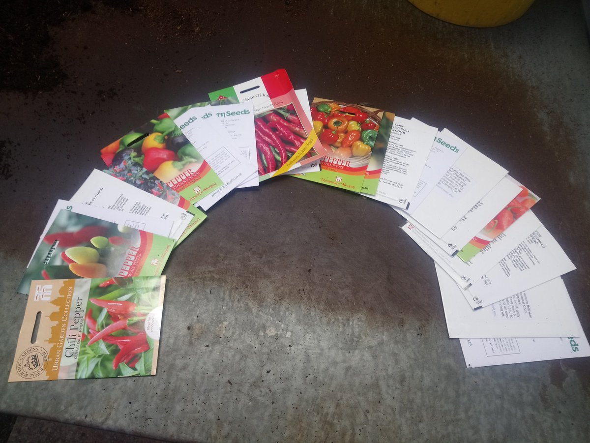 MattOliver87's tweet photo. Rainbow of chilli's and sweet peppers for the Hyde Hall veg garden hit the propagator this morning. Waiting on a few more but hopefully have 34 varieties in total all being well πΆοΈπΆοΈπΆοΈπ₯π₯π₯ #GlobalGrowthVeg #GGVG #GrowYourOwn #GYO https://t.co/RSJBfnmqPz