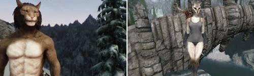 Now wondering if it'd be possible to reconstruct the whole of "Cats" inside "Skyrim" using customised Khajiit characters.

(I haven't seen "Cats" and I've never played "Skyrim", but that sort of critical mass could attract anybody.) #JellicleMod