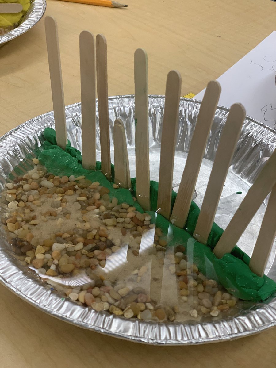 MsFlournoyAPS's tweet photo. 2nd graders are studying changes in the environment caused by weather, plants, animals, and humans! After researching beavers, our junior engineers design their own dams! @APSHAES @vseville44 @PrinDSTaylor https://t.co/WHfp0MiA5s