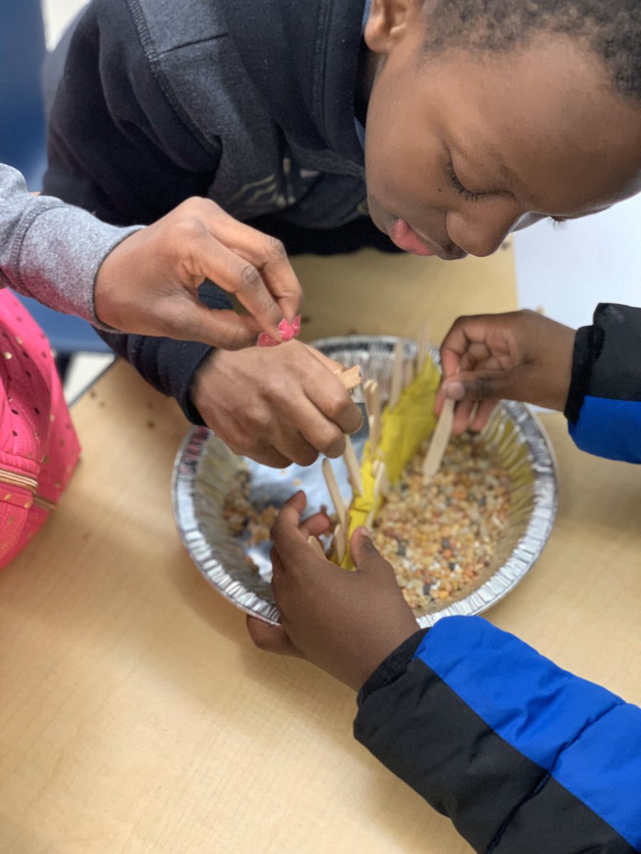 MsFlournoyAPS's tweet photo. 2nd graders are studying changes in the environment caused by weather, plants, animals, and humans! After researching beavers, our junior engineers design their own dams! @APSHAES @vseville44 @PrinDSTaylor https://t.co/WHfp0MiA5s