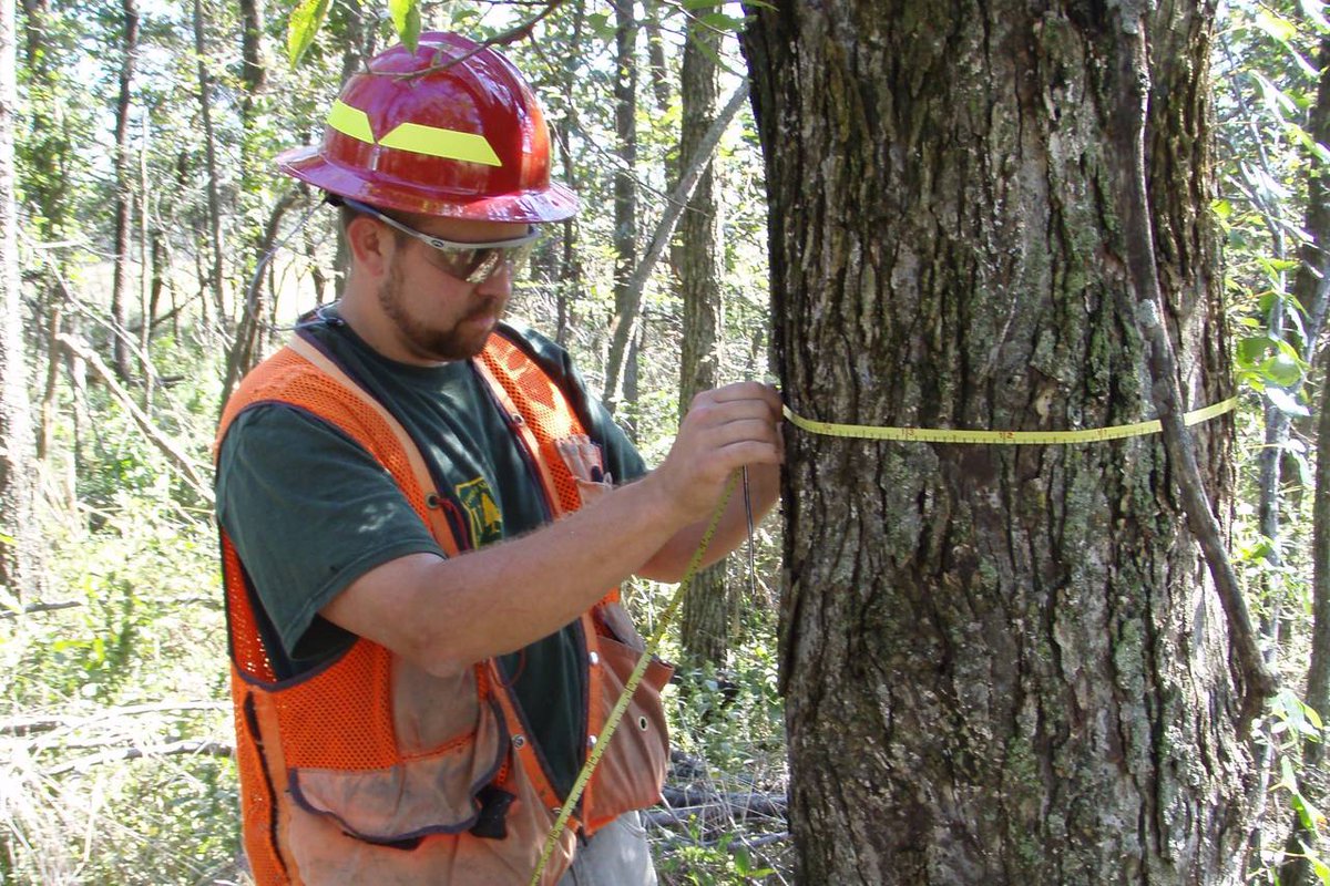 Northern Research tweet media