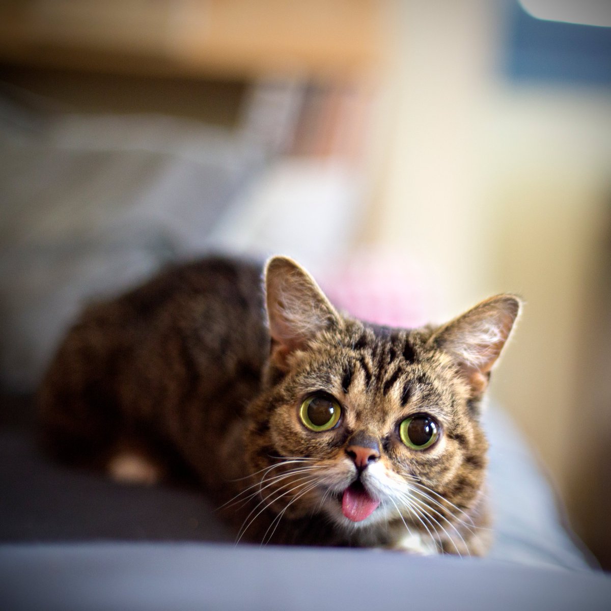 IAMLILBUB's tweet photo. A sense of wonder like no other. https://t.co/ZZkfTGwDGg