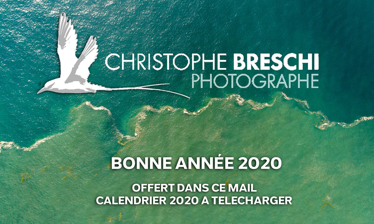 BONNE ANNEE 2020 - CALENDRIER A TELECHARGER - mailchi.mp/fe160cff314e/b…