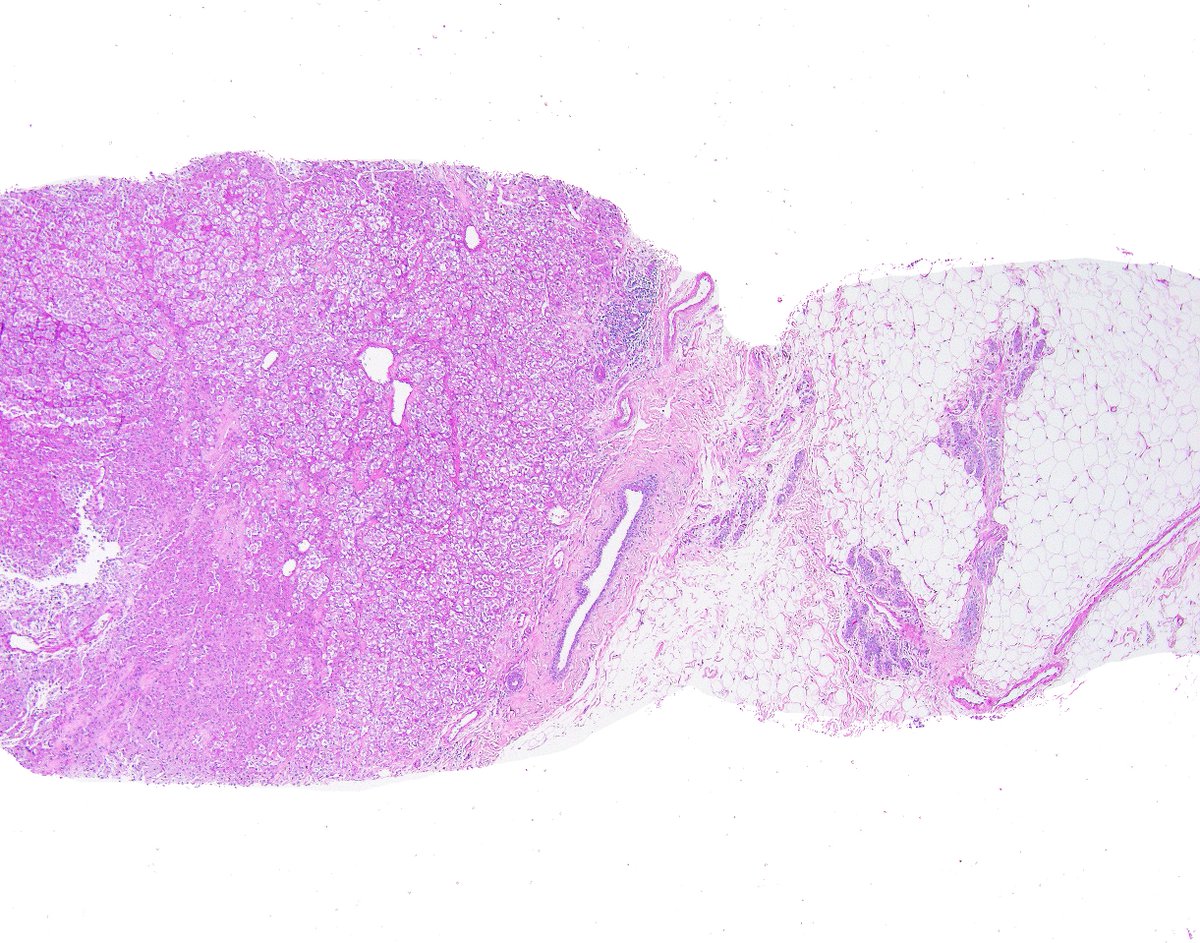 Innovative Science Press tweet media