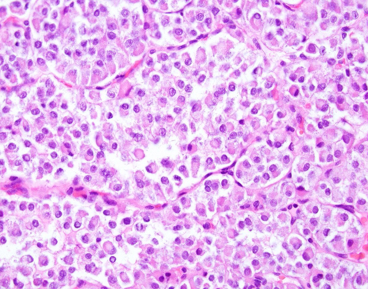 Innovative Science Press tweet media