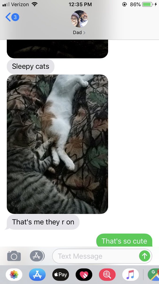 omobe15's tweet photo. I’m loving the updates on the cats that my dad is constantly sending me https://t.co/wCPv4BsLJQ