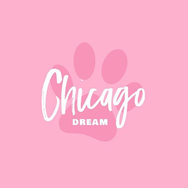 Simple, bright and easy to create 🐾  #LogoMakerShop #logo #logos #logodesigner #designlogo